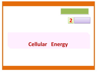2

Cellular Energy

 