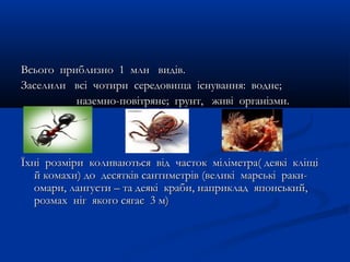 Всього приблизно 1 млн видів.Всього приблизно 1 млн видів.
Заселили всі чотири середовища існування: водне;Заселили всі чотири середовища існування: водне;
наземно-повітряне; грунт, живі організми.наземно-повітряне; грунт, живі організми.
Їхні розміри коливаються від часток міліметра( деякі кліщіЇхні розміри коливаються від часток міліметра( деякі кліщі
й комахи) до десятків сантиметрів (великі марські раки-й комахи) до десятків сантиметрів (великі марські раки-
омари, лангусти – та деякі краби, наприклад японський,омари, лангусти – та деякі краби, наприклад японський,
розмах ніг якого сягає 3 м)розмах ніг якого сягає 3 м)
 