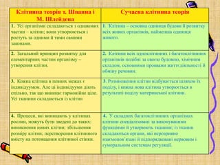 Клітинна теорія т. Шванна і
М. Шлейдена
Сучасна клітинна теорія
1. Усі організми складаються з однакових
частин – клітин; вони утворюються і
ростуть за одними й тими самими
законами.
1. Клітина – основна одиниця будови й розвитку
всіх живих організмів, найменша одиниця
живого.
2. Загальний принцип розвитку для
елементарних частин організму –
утворення клітин.
2. Клітини всіх одноклітинних і багатоклітинних
організмів подібні за своєю будовою, хімічним
складом, основними проявами життєдіяльності й
обміну речовин.
3. Кожна клітина в певних межах є
індивідуумом. Але ці індивідууми діють
спільно, так що виникає гармонійне ціле.
Усі тканини складаються із клітин
3. Розмноження клітин відбувається шляхом їх
поділу, і кожна нова клітина утворюється в
результаті поділу материнської клітини.
4. Процеси, які виникають у клітинах
рослин, можуть бути зведені до таких:
виникнення нових клітин; збільшення
розміру клітин; перетворення клітинного
вмісту на потовщення клітинної стінки.
4. У складних багатоклітинних організмах
клітини спеціалізовані за виконуваними
функціями й утворюють тканини; із тканин
складаються органи, які нерозривно
взаємопов’язані й підпорядковані нервовим і
гуморальним системам регуляції.
 