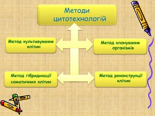 Методи
цитотехнологій
Метод реконструкції
клітин
Метод гібридизації
соматичних клітин
Метод клонування
організмів
Метод культивування
клітин
 