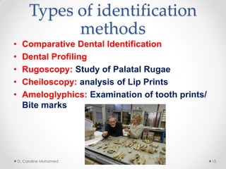 Types of identification
methods
• Comparative Dental Identification
• Dental Profiling
• Rugoscopy: Study of Palatal Rugae
• Cheiloscopy: analysis of Lip Prints
• Ameloglyphics: Examination of tooth prints/
Bite marks
D. Caroline Mohamed 15
 