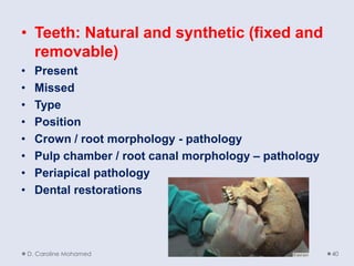 • Teeth: Natural and synthetic (fixed and
removable)
• Present
• Missed
• Type
• Position
• Crown / root morphology - pathology
• Pulp chamber / root canal morphology – pathology
• Periapical pathology
• Dental restorations
D. Caroline Mohamed 40
 