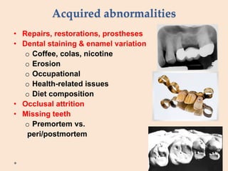 Acquired abnormalities
• Repairs, restorations, prostheses
• Dental staining & enamel variation
o Coffee, colas, nicotine
o Erosion
o Occupational
o Health-related issues
o Diet composition
• Occlusal attrition
• Missing teeth
o Premortem vs.
peri/postmortem
 