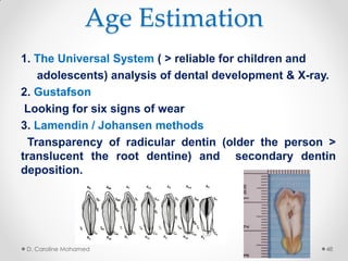 Age Estimation
1. The Universal System ( > reliable for children and
adolescents) analysis of dental development & X-ray.
2. Gustafson
Looking for six signs of wear
3. Lamendin / Johansen methods
Transparency of radicular dentin (older the person >
translucent the root dentine) and secondary dentin
deposition.
D. Caroline Mohamed 48
 