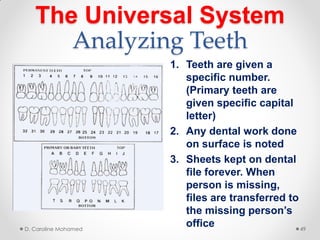 The Universal System
Analyzing Teeth
1. Teeth are given a
specific number.
(Primary teeth are
given specific capital
letter)
2. Any dental work done
on surface is noted
3. Sheets kept on dental
file forever. When
person is missing,
files are transferred to
the missing person’s
officeD. Caroline Mohamed 49
 