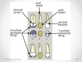 D. Caroline Mohamed 52
 