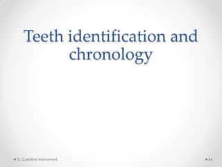 Teeth identification and
chronology
D. Caroline Mohamed 54
 