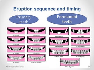Eruption sequence and timing
Primary
teeth
Permanent
teeth
D. Caroline Mohamed 57
 