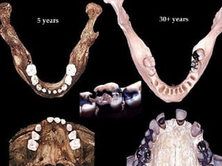 D. Caroline Mohamed 58
 