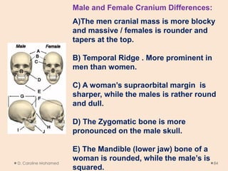 D. Caroline Mohamed 84
Male and Female Cranium Differences:
A)The men cranial mass is more blocky
and massive / females is rounder and
tapers at the top.
B) Temporal Ridge . More prominent in
men than women.
C) A woman’s supraorbital margin is
sharper, while the males is rather round
and dull.
D) The Zygomatic bone is more
pronounced on the male skull.
E) The Mandible (lower jaw) bone of a
woman is rounded, while the male’s is
squared.
 
