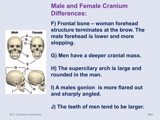D. Caroline Mohamed 85
Male and Female Cranium
Differences:
F) Frontal bone – woman forehead
structure terminates at the brow. The
male forehead is lower and more
slopping.
G) Men have a deeper cranial mass.
H) The supercilary arch is large and
rounded in the man.
I) A males gonion is more flared out
and sharply angled.
J) The teeth of men tend to be larger.
 