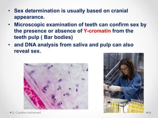 • Sex determination is usually based on cranial
appearance.
• Microscopic examination of teeth can confirm sex by
the presence or absence of Y-cromatin from the
teeth pulp ( Bar bodies)
• and DNA analysis from saliva and pulp can also
reveal sex.
D. Caroline Mohamed 86
 
