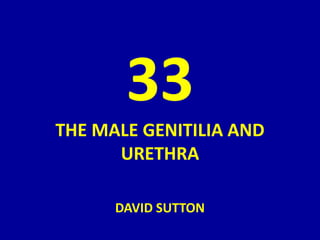 33
THE MALE GENITILIA AND
URETHRA
DAVID SUTTON
 