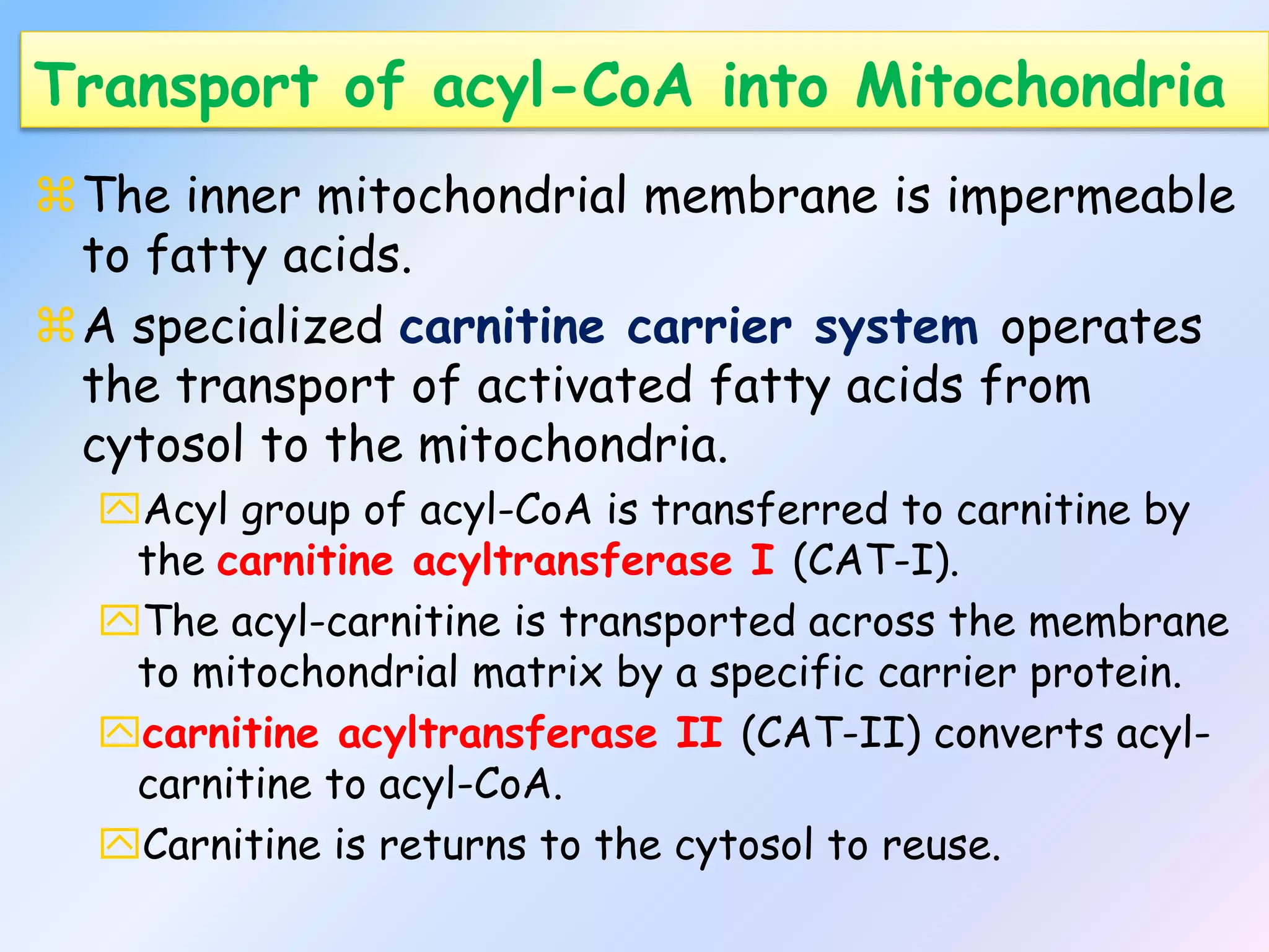 Oxidation of fatty acids | PPSX
