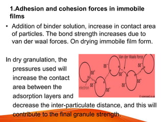 • Addition of binder solution, increase in contact area
of particles. The bond strength increases due to
van der waal forces. On drying immobile film form.
In dry granulation, the
pressures used will
increase the contact
area between the
adsorption layers and
decrease the inter-particulate distance, and this will
contribute to the final granule strength.
1.Adhesion and cohesion forces in immobile
films
 