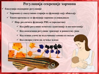 Регулација секреције хормона
 Еволуција ендокрине регулације
 Хормони су еволутивно старији од функције коју обављају
 Током времена су се функције хормона усложњавале
 Нпр. различите функције PRL-а (пролактин)
 Код риба регулише осмотску адаптацију и пигментацију
 Код водоземаца регулише траспорт и равнотежу јона
 Код птица утиче на излучивање сокова из вољке
 Код сисара утиче на лучење млека
 