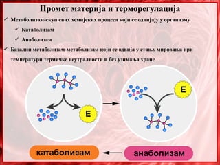 Промет материја и терморегулација
 Метаболизам-скуп свих хемијских процеса који се одвијају у организму
 Катаболизам
 Анаболизам
 Базални метаболизам-метаболизам који се одвија у стању мировања при
температури термичке неутралности и без узимања хране
 