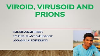 VIROID, VIRUSOID AND
PRIONS
N.H. SHANKAR REDDY
2ND PH.D. PLANT PATHOLOGY
ANNAMALAI UNIVERSITY
 
