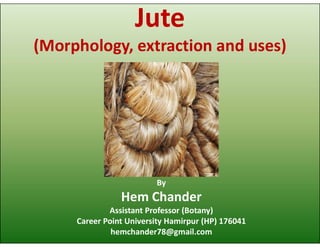 Jute
(Morphology, extraction and uses)
By
Hem Chander
Assistant Professor (Botany)
Career Point University Hamirpur (HP) 176041
hemchander78@gmail.com
 