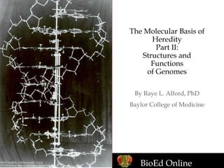 BioEd Online
The Molecular Basis of
Heredity
Part II:
Structures and
Functions
of Genomes
By Raye L. Alford, PhD
Baylor College of Medicine
DNA Model by J. Watson and F. Crick
© Cold Spring Harbor Laboratory Archives
 