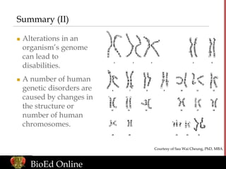 genome organization described in a lucid fashion | PPT