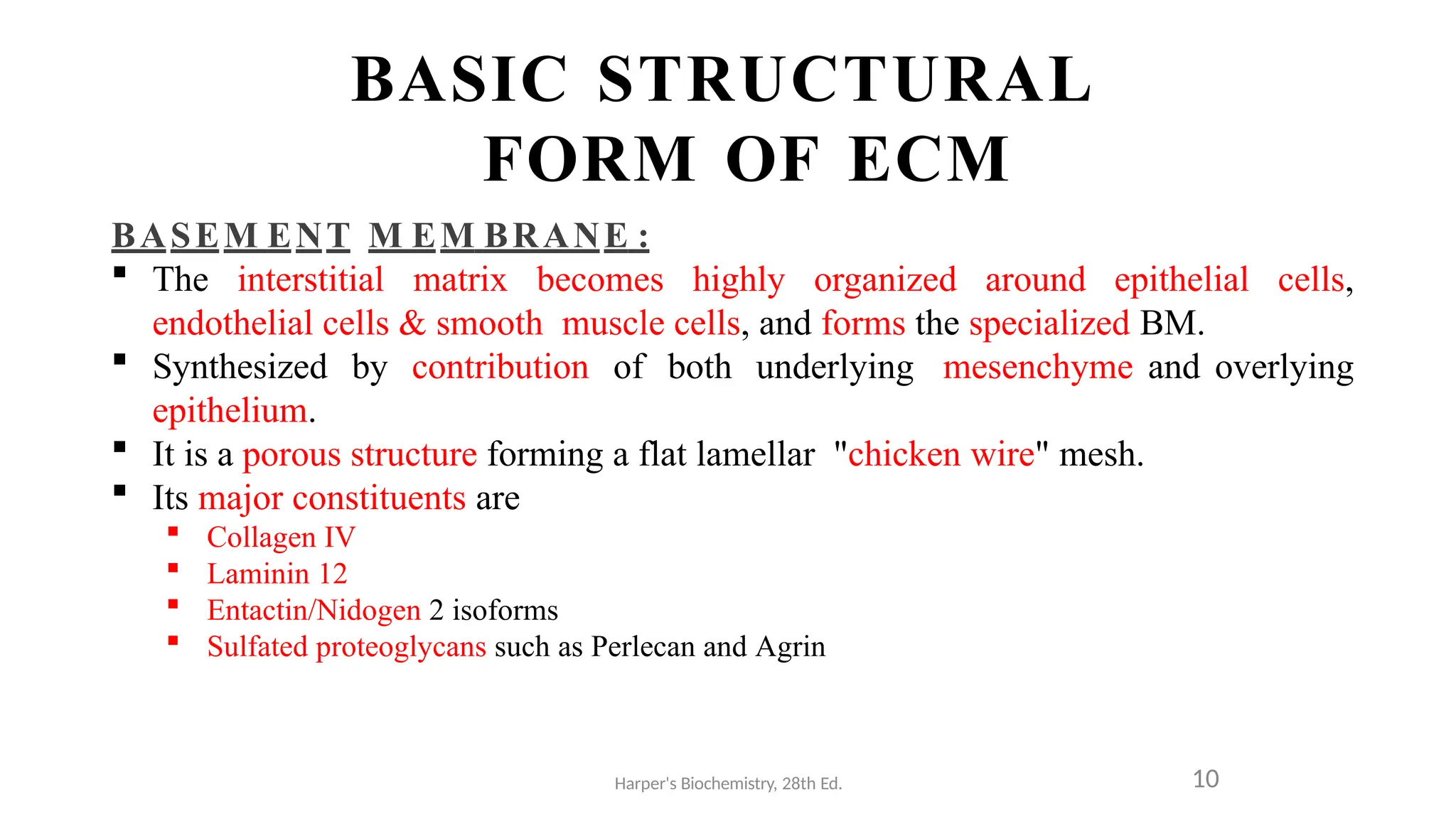 BASIC STRUCTURAL
FORM OF ECM
Harper's Biochemistry, 28th Ed. 10
BASEM ENT M EM BRANE :
 The interstitial matrix becomes highly organized around epithelial cells,
endothelial cells & smooth muscle cells, and forms the specialized BM.
 Synthesized by contribution of both underlying mesenchyme and overlying
epithelium.
 It is a porous structure forming a flat lamellar "chicken wire" mesh.
 Its major constituents are
 Collagen IV
 Laminin 12
 Entactin/Nidogen 2 isoforms
 Sulfated proteoglycans such as Perlecan and Agrin
 