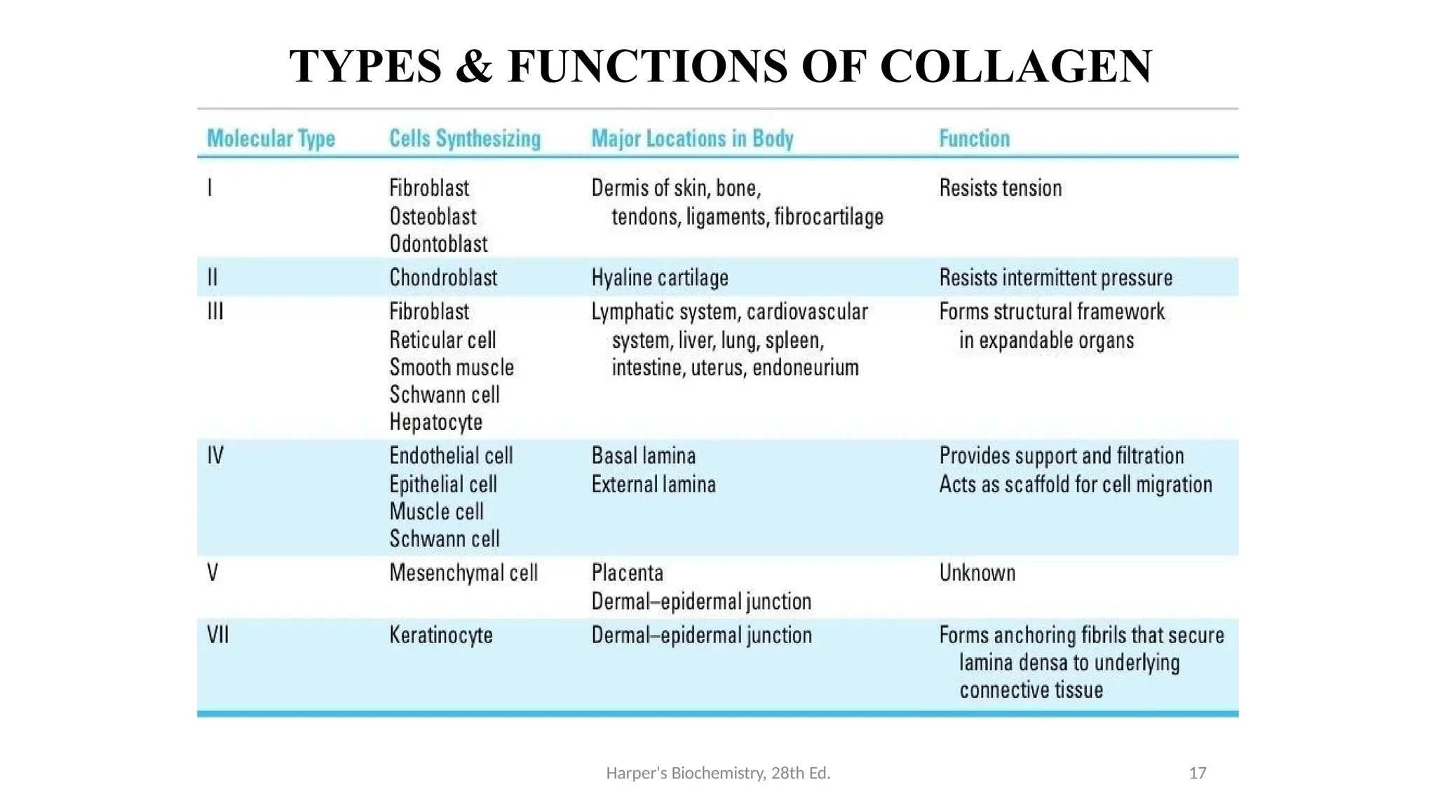 TYPES & FUNCTIONS OF COLLAGEN
Harper's Biochemistry, 28th Ed. 17
 