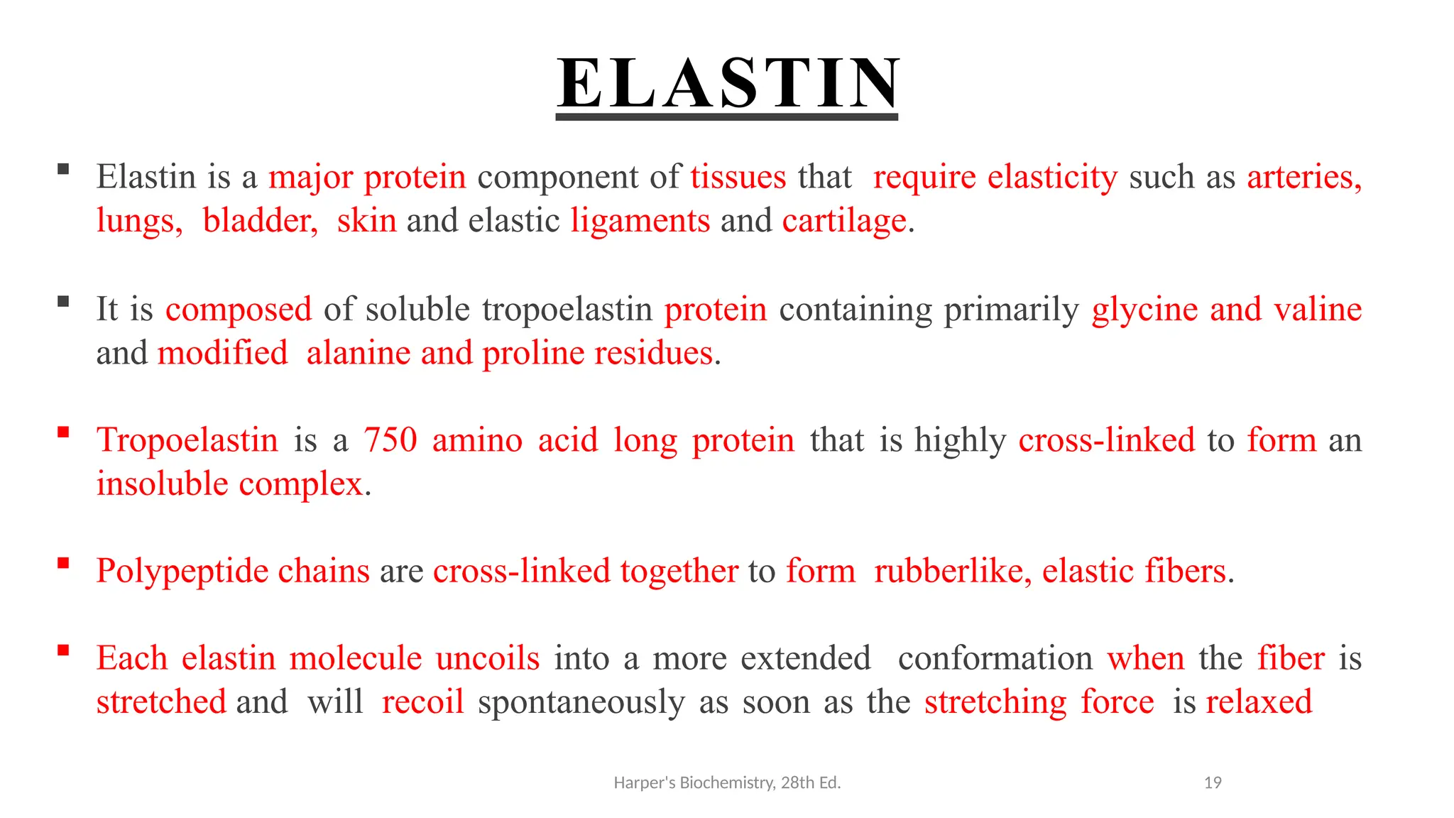 ELASTIN
 Elastin is a major protein component of tissues that require elasticity such as arteries,
lungs, bladder, skin and elastic ligaments and cartilage.
 It is composed of soluble tropoelastin protein containing primarily glycine and valine
and modified alanine and proline residues.
 Tropoelastin is a 750 amino acid long protein that is highly cross-linked to form an
insoluble complex.
 Polypeptide chains are cross-linked together to form rubberlike, elastic fibers.
 Each elastin molecule uncoils into a more extended conformation when the fiber is
stretched and will recoil spontaneously as soon as the stretching force is relaxed
Harper's Biochemistry, 28th Ed. 19
 