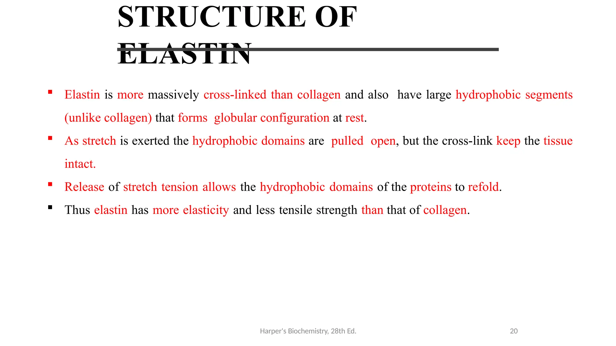 STRUCTURE OF
ELASTIN
 Elastin is more massively cross-linked than collagen and also have large hydrophobic segments
(unlike collagen) that forms globular configuration at rest.
 As stretch is exerted the hydrophobic domains are pulled open, but the cross-link keep the tissue
intact.
 Release of stretch tension allows the hydrophobic domains of the proteins to refold.
 Thus elastin has more elasticity and less tensile strength than that of collagen.
Harper's Biochemistry, 28th Ed. 20
 