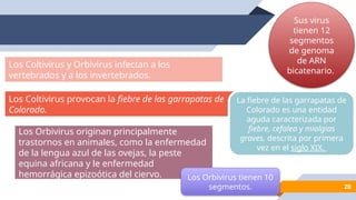 Reovirus microbiologia y parasitologia medica | PPTX