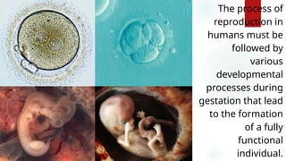 Animal reproduction general biology 2 ppt | PPTX