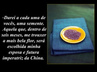 -Darei a cada uma de
vocês, uma semente.
Aquela que, dentro de
seis meses, me trouxer
a mais bela flor, será
escolhida minha
esposa e futura
imperatriz da China.
 