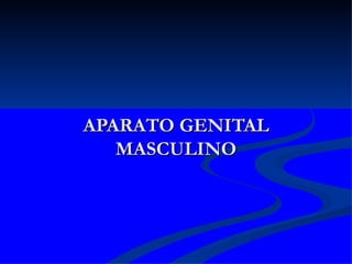 APARATO GENITAL MASCULINO 