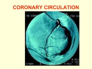 CORONARY CIRCULATION 