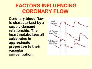 FACTORS INFLUENCING CORONARY FLOW   Coronary blood flow is characterized by a supply-demand relationship. The heart metabolizes all substrates in approximate proportion to their vascular concentration. 