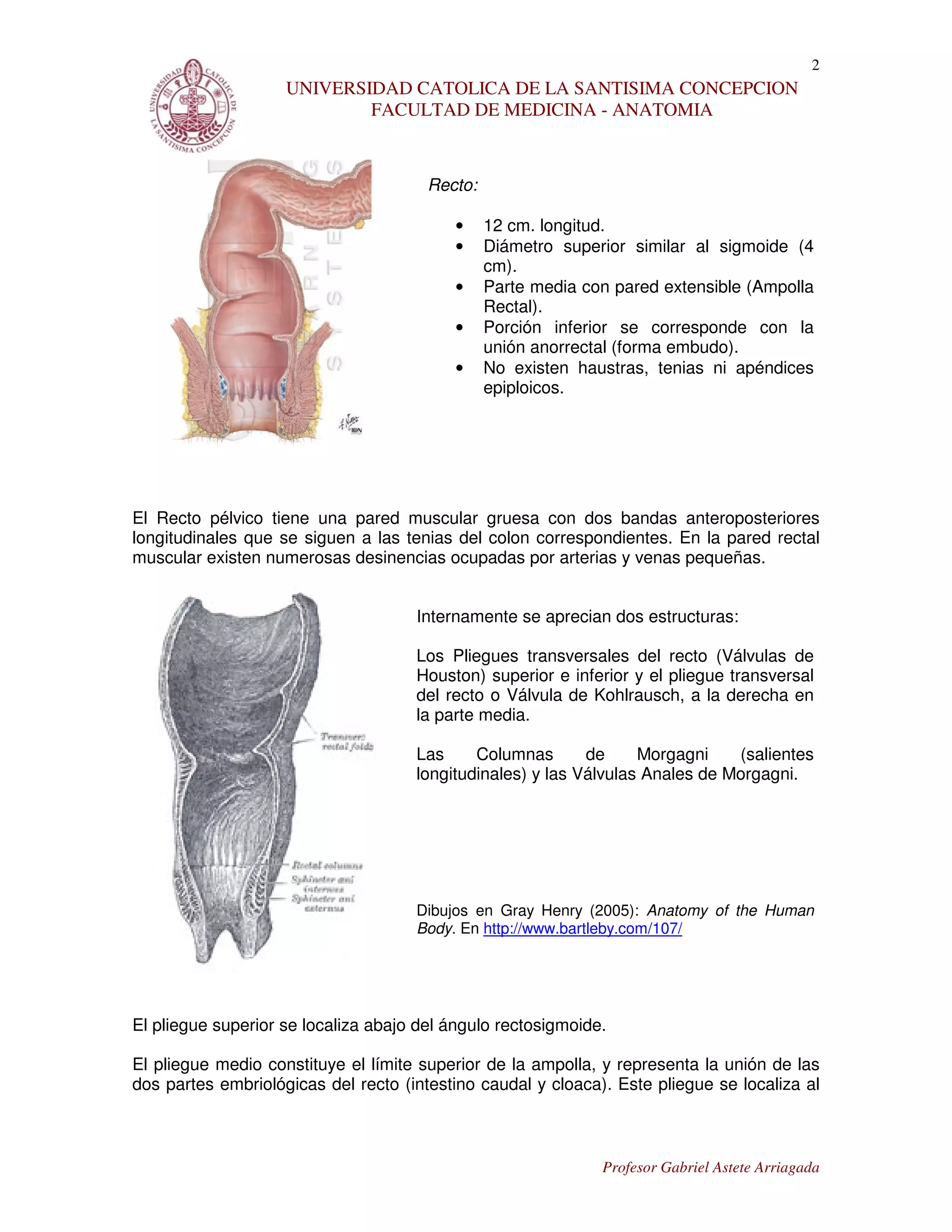33. documento recto | PDF