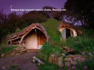 . Bosque bajo impacto interno (Gales, Reino Unido)
 