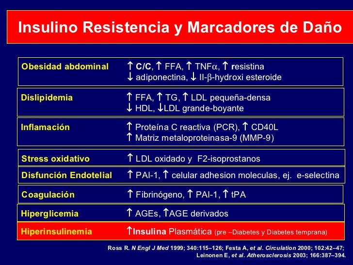33. fisiopatologia de la diabetes 33. fisiopatologia de la diabetes