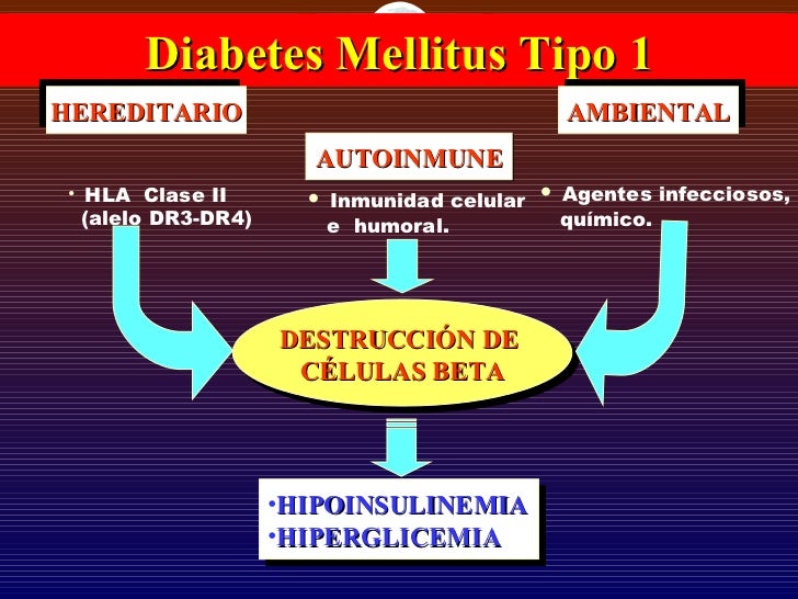 33. fisiopatologia de la diabetes 33. fisiopatologia de la diabetes