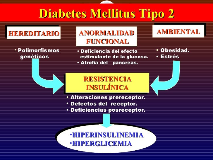 33. fisiopatologia de la diabetes 33. fisiopatologia de la diabetes