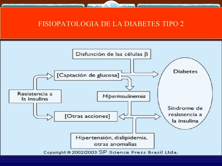 33. fisiopatologia de la diabetes 33. fisiopatologia de la diabetes