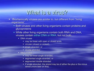 What is a virus? Biochemically viruses are similar to, but different from “living organisms” Both viruses and other living organisms contain proteins and glycoproteins While other living organisms contain both RNA and DNA, viruses contain  either DNA or RNA , but not both DNA viruses  may be linear with open or closed ends, circular (closed or nicked), single stranded, or  double stranded RNA viruses may be linear single stranded,  segmented single stranded, or  segmented double stranded  If single stranded, the strand may be of either the plus or the minus sense (more later on this) 