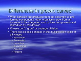 Differences in growth curves: Virus particles are produced from the assembly of pre-formed components: other organisms grow from an increase in the integrated sum of their components and reproduce by cell division. Viruses don’t “grow” or undergo division There are six basic phases in the multiplication cycle of all viruses Attachment Penetration Uncoating Biosynthesis Assembly Release 