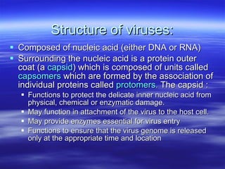 Structure of viruses: Composed of nucleic acid (either DNA or RNA) Surrounding the nucleic acid is a protein outer coat (a  capsid ) which is composed of units called  capsomers  which are formed by the association of individual proteins called  protomers.  The capsid : Functions to protect the delicate inner nucleic acid from physical, chemical or enzymatic damage. May function in attachment of the virus to the host cell. May provide enzymes essential for virus entry Functions to ensure that the virus genome is released only at the appropriate time and location 