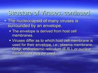 Structure of Viruses, continued The nucleocapsid of many viruses is surrounded by an envelope.  The envelope is derived from host cell membranes.  Viruses differ as to which host cell membrane is used for their envelope, i.e., plasma membrane, Golgi, endoplasmic reticulum (E.R.), or nuclear membranes may be used.  