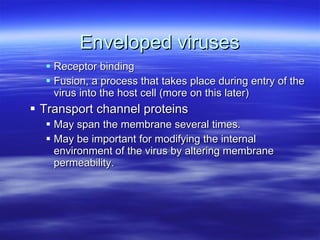 Enveloped viruses Receptor binding Fusion, a process that takes place during entry of the virus into the host cell (more on this later) Transport channel proteins  May span the membrane several times.  May be important for modifying the internal environment of the virus by altering membrane permeability. 