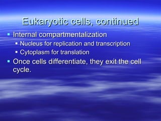 Eukaryotic cells, continued Internal compartmentalization Nucleus for replication and transcription Cytoplasm for translation Once cells differentiate, they exit the cell cycle. 