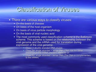 Classification of Viruses There are various ways to classify viruses: On the basis of disease On basis of the host organism On basis of virus particle morphology On the basis of viral nucleic acid The most commonly used classification scheme is the Baltimore scheme. This scheme is based on the relationship between the viral genome and the mRNA used for translation during expression of the viral genome: Class I = double stranded DNA viruses Class 2a= single stranded + sense DNA (DNA has the same sequence as the mRNA, except T replaces U) Class 2b= single stranded – sense DNA (The DNA is complementary to the mRNA) 