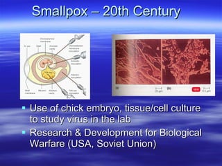 Smallpox – 20th Century Use of chick embryo, tissue/cell culture to study virus in the lab Research & Development for Biological Warfare (USA, Soviet Union) 