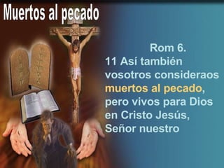 Muertos al pecado Rom 6. 11 Así también vosotros consideraos  muertos al pecado , pero vivos para Dios en Cristo Jesús, Señor nuestro 